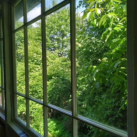 Dom Pod Galazka * Bochnia