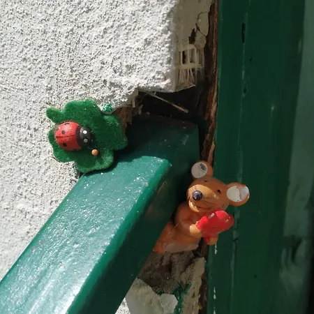 Dom Pod Galazka Semesterbostad Bochnia